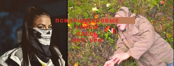 каннабис Богородицк